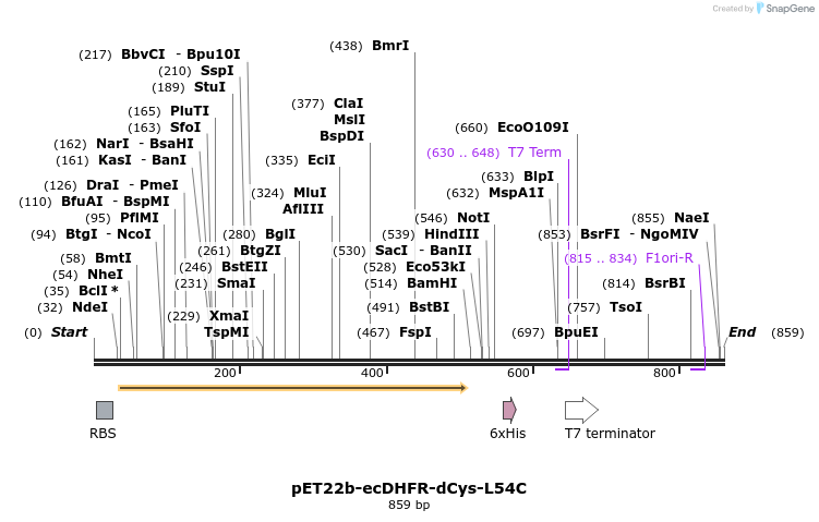 208335_map