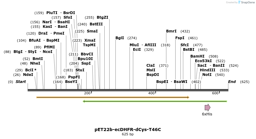 208336_map