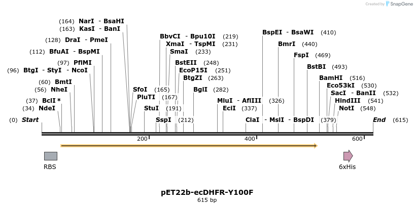 208364_map