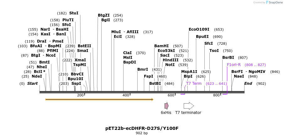 208365_map
