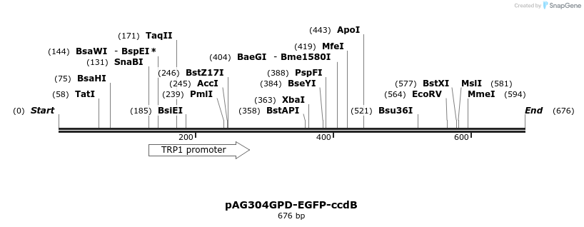 20840_map