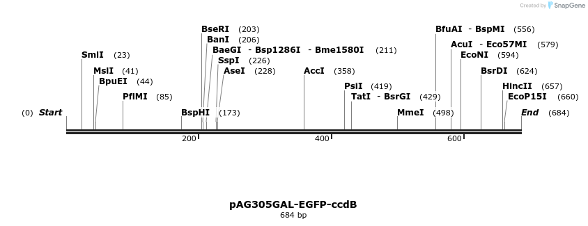 20842_map