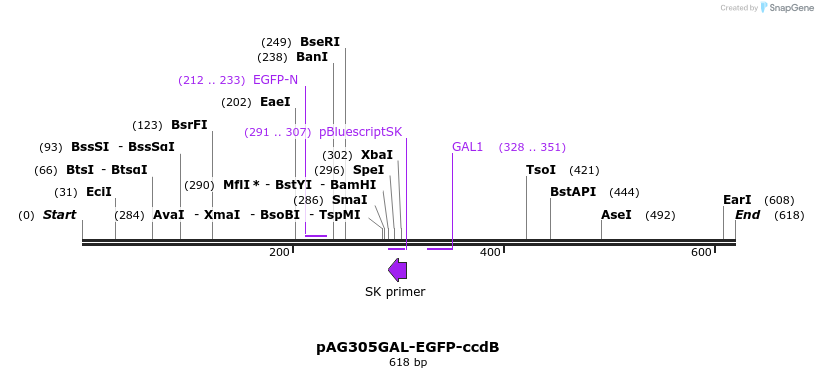 20843_map