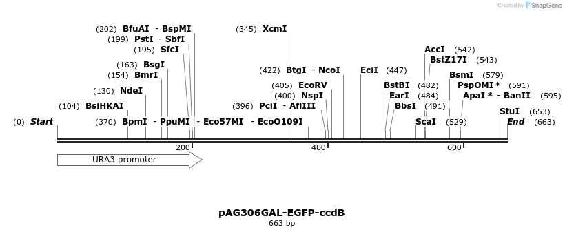 20846_map