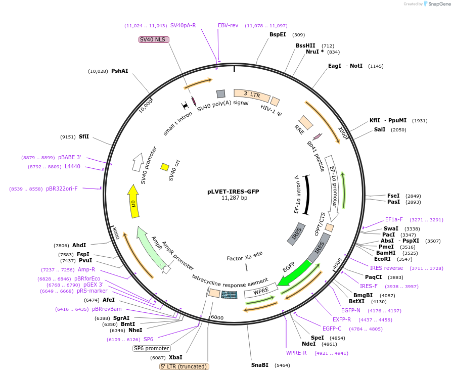 208504_map