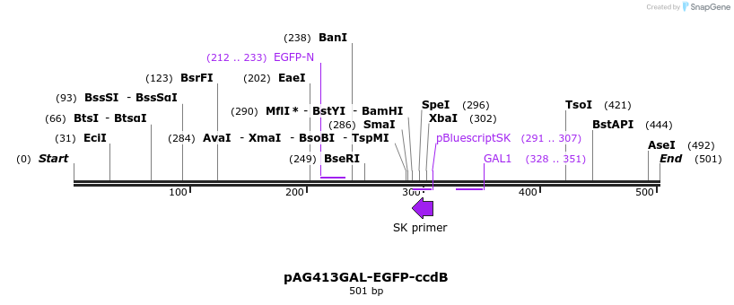 20851_map