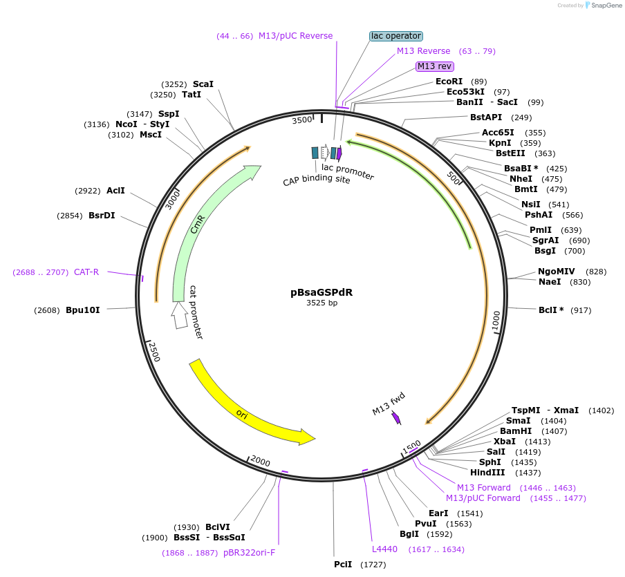 208512_map