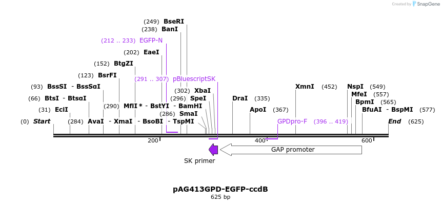 20852_map