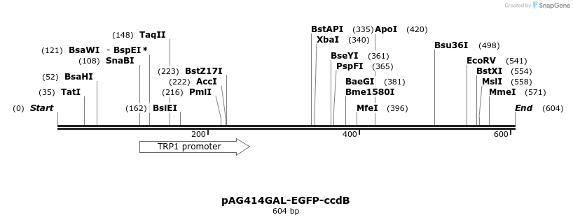 20855_map