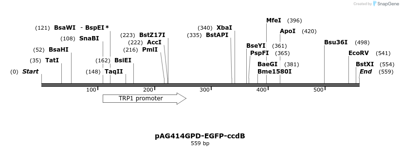 20857_map