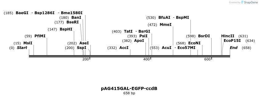 20858_map