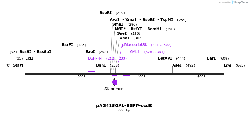 20859_map