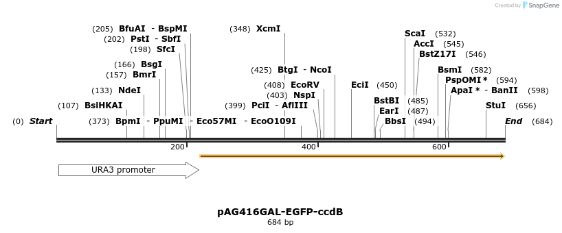 20862_map