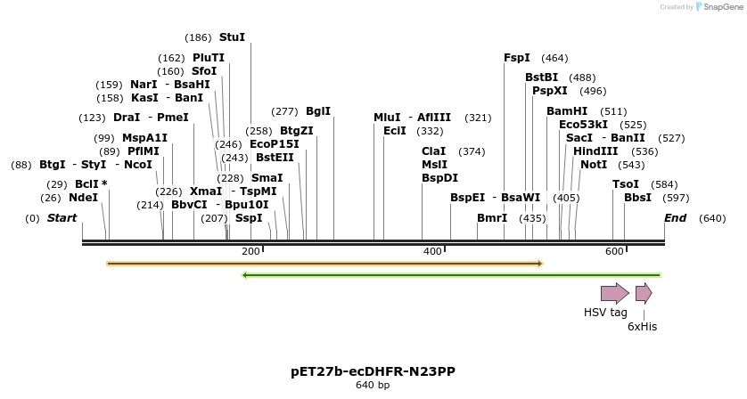 208639_map