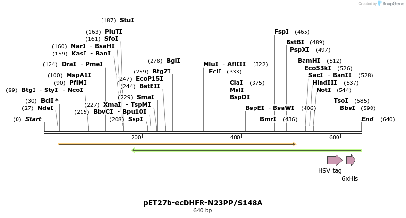 208640_map