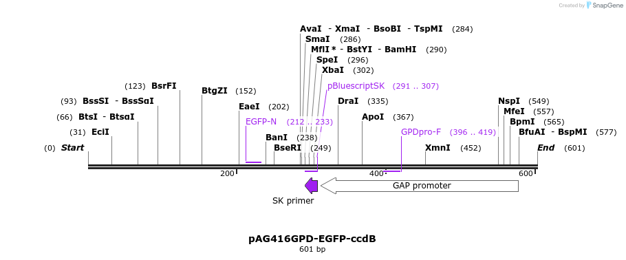 20865_map