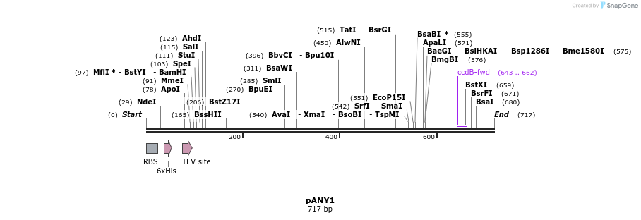 208667_map