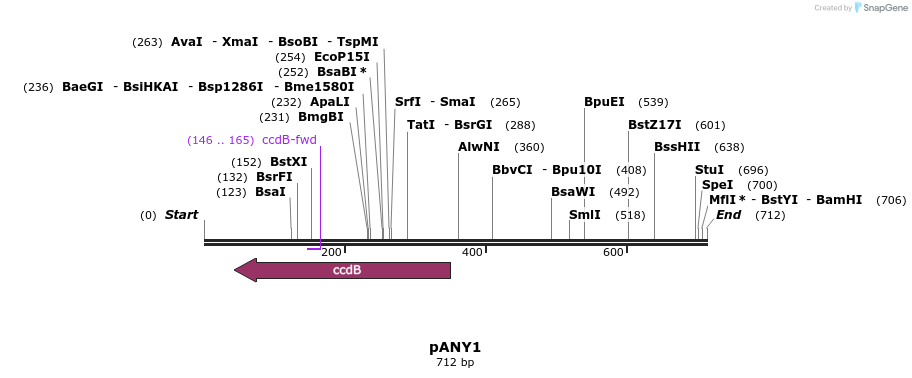 208668_map