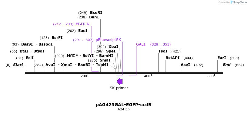 20867_map