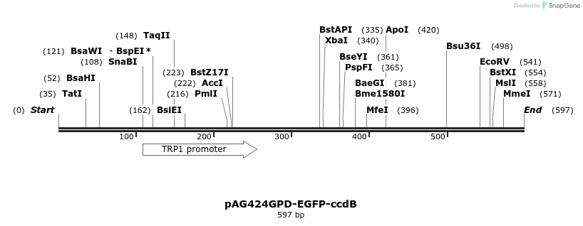 20872_map