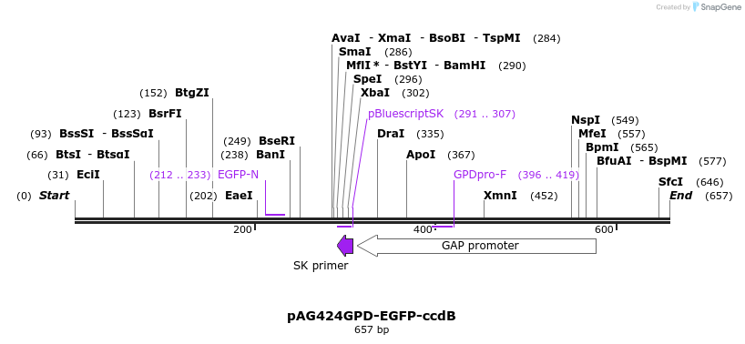 20873_map