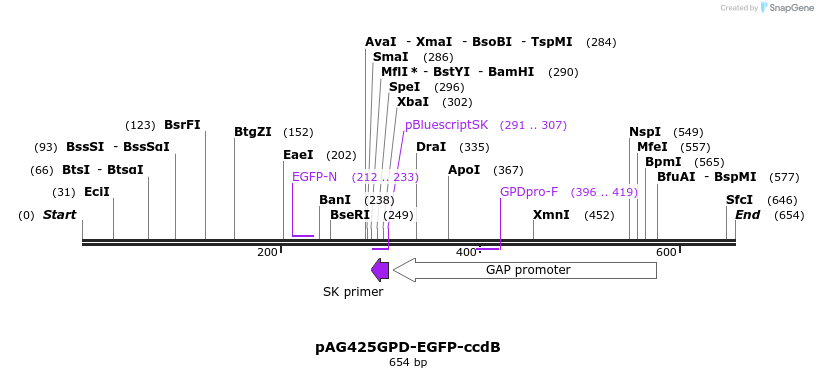 20877_map