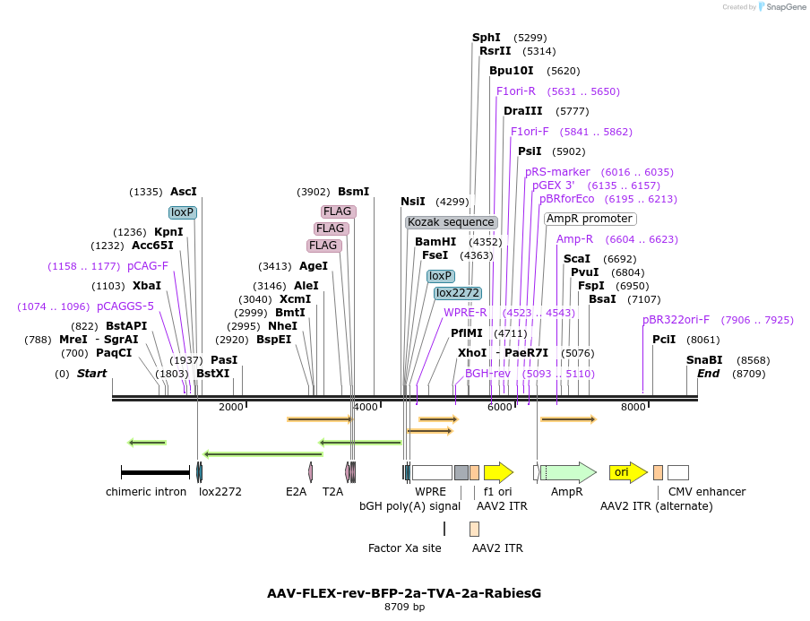 208797_map