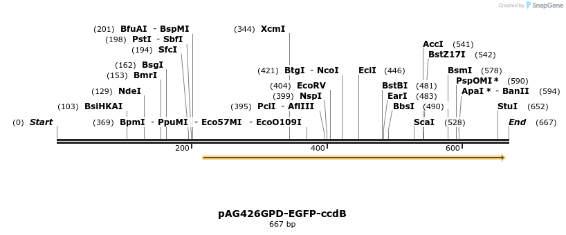 20880_map