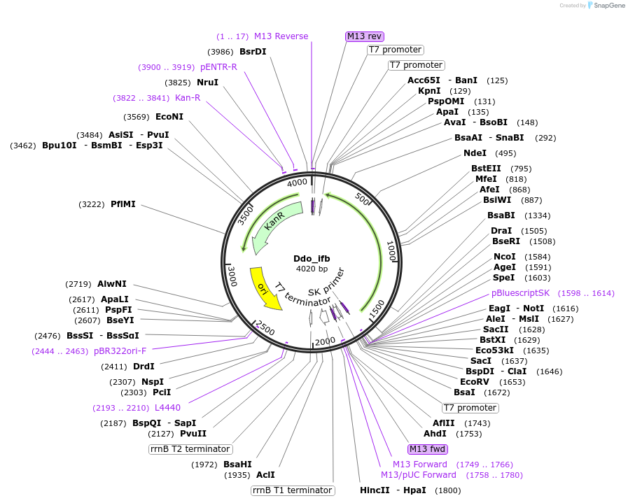 208803_map