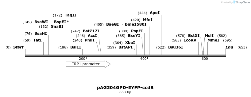 20888_map
