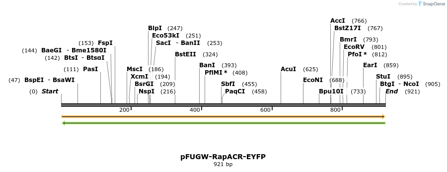 208884_map