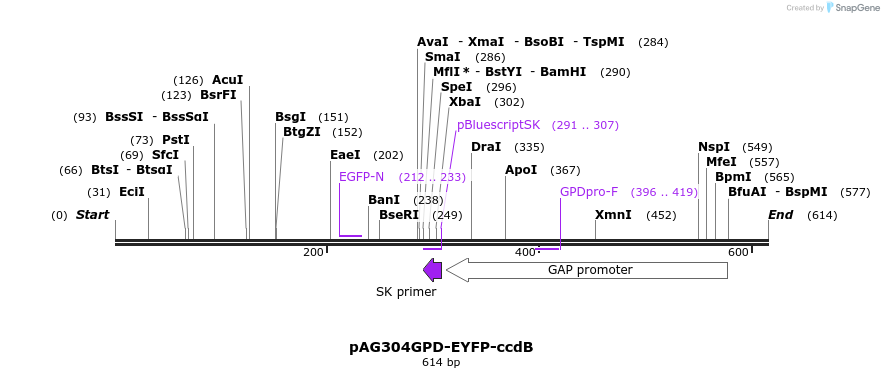 20889_map