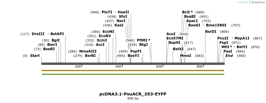 208891_map