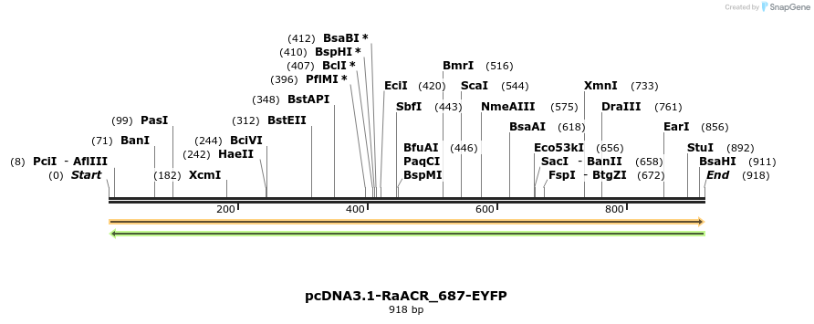208892_map