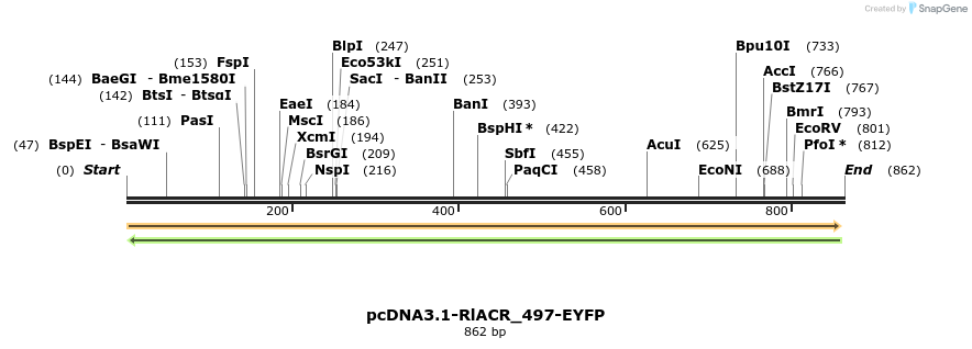 208893_map