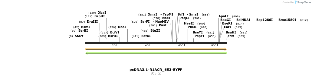 208894_map