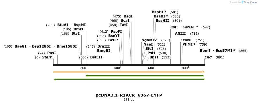 208895_map