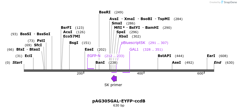 20891_map