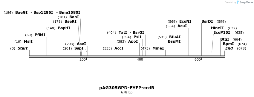 20892_map