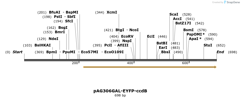 20894_map