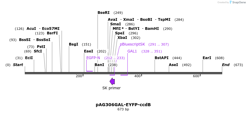 20895_map