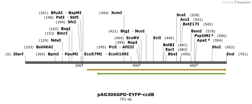 20896_map