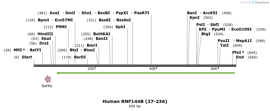 208966_map