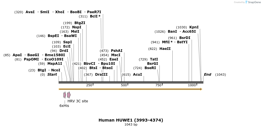 208967_map