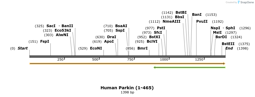 208974_map