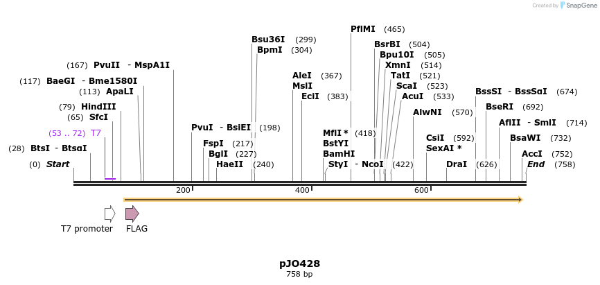 208992_map
