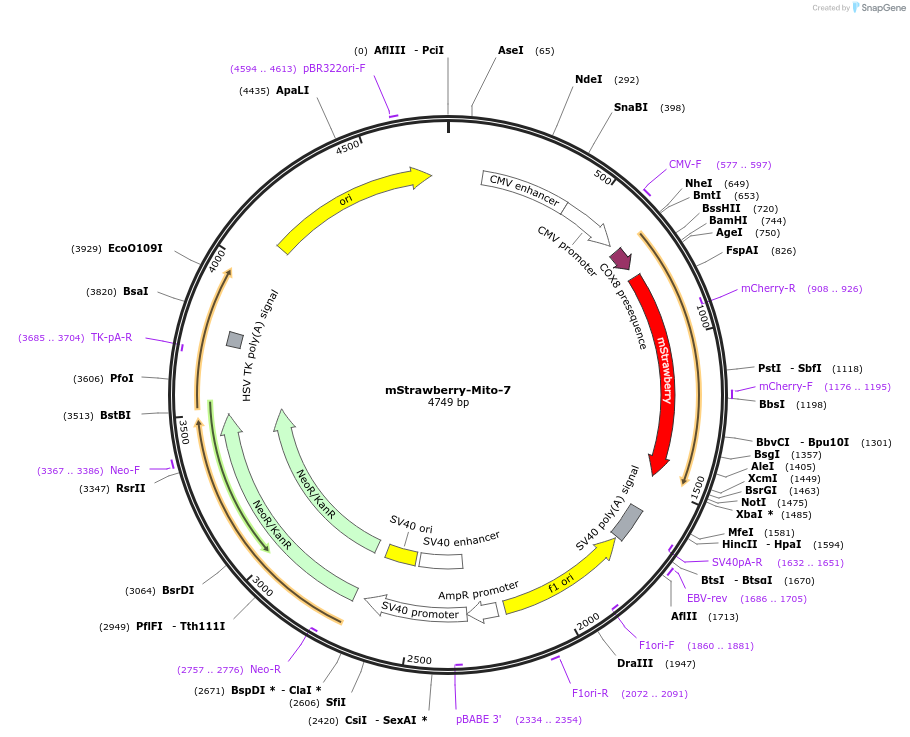 209004_map