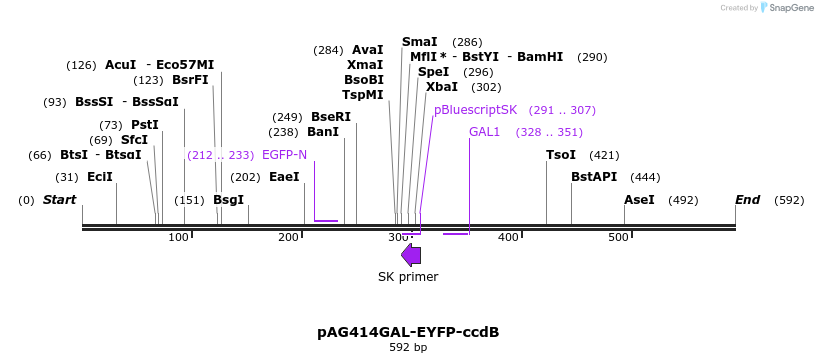 20902_map