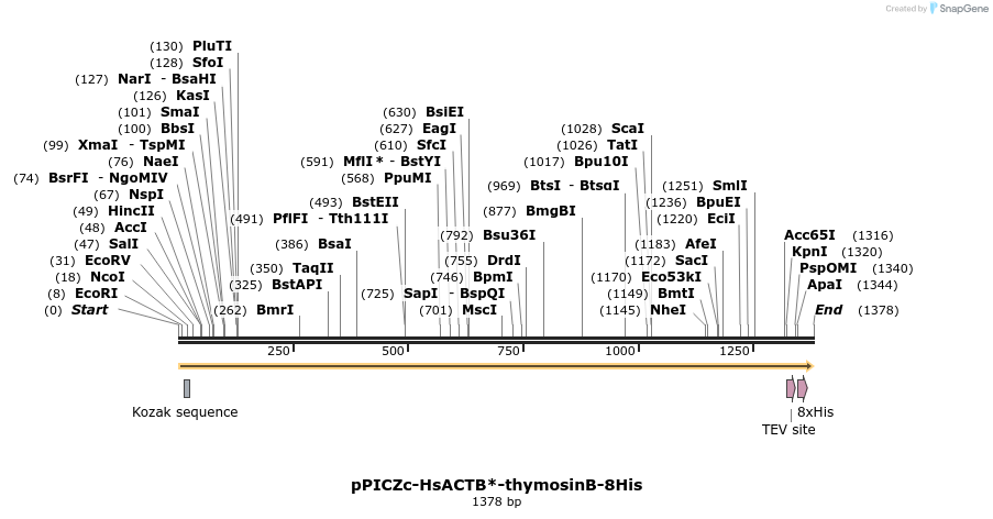 209021_map