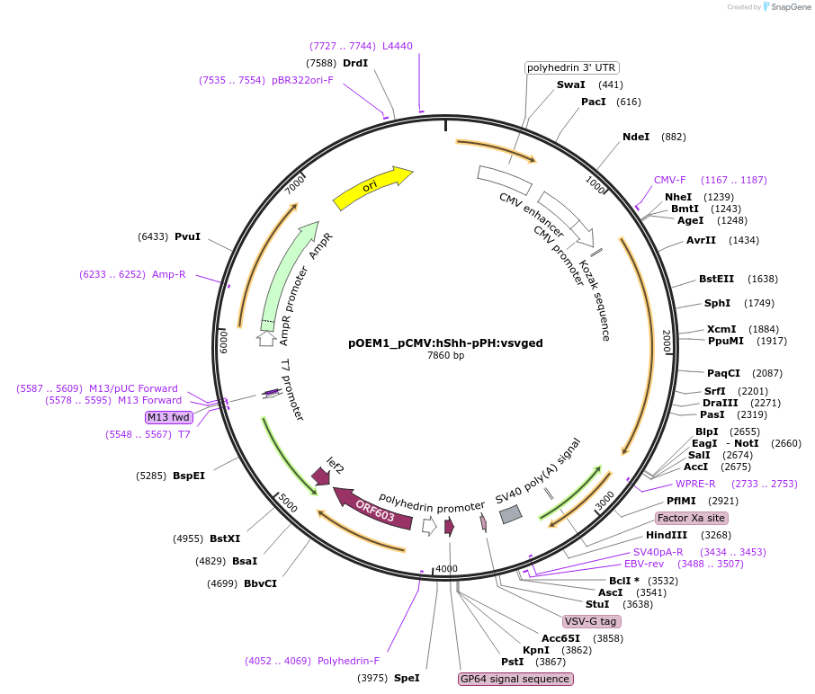 209029_map
